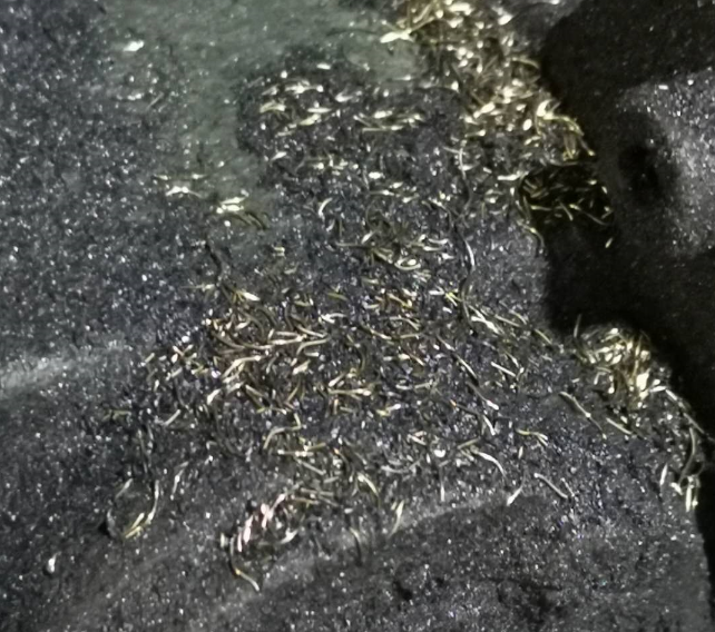 打磨平台含碳帶火花鐵絲巧用全自動脈衝集塵器(qì)解決方案-1